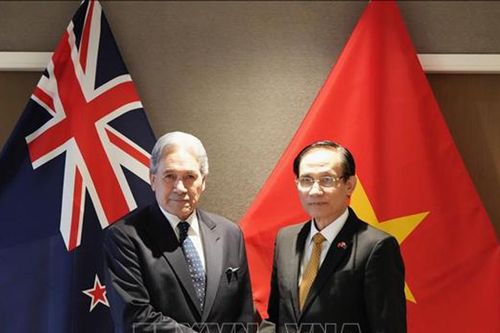 Hội nghị Bộ trưởng Ngoại giao Việt Nam - New Zealand lần thứ 4