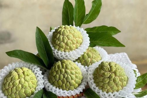 Tiểu thương lý giải giá na dai Đồng Bành cao hơn so với những loại khác nhưng vẫn được người tiêu dùng đặt mua không ngớt