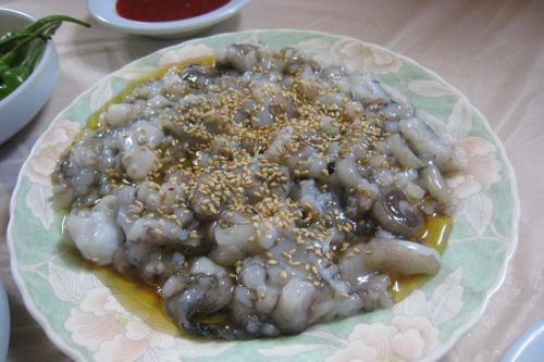 Bạch tuộc quá thông minh để nuôi làm thực phẩm?