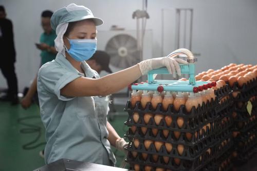 Bài 2: Mở rộng mô hình sản xuất theo chuỗi khép kín