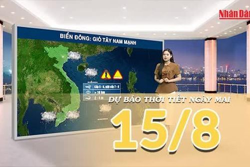 [Video] Dự báo thời tiết đêm nay và ngày mai ngày 15/8/2026: Mưa gia tăng tại Bắc Bộ và Trung Bộ, Nam Bộ tiếp tục có dông
