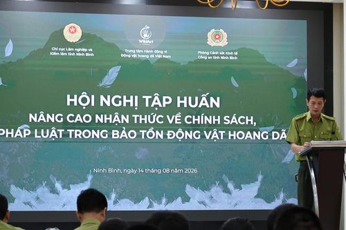 Tăng cường truyền thông pháp luật để người dân chung tay bảo tồn động vật hoang dã