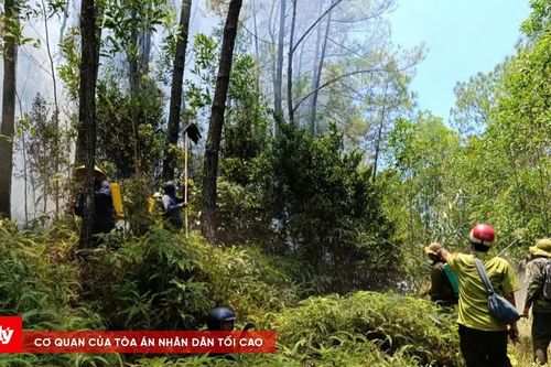 Huế căng mình ứng phó 6 vụ cháy rừng trong một ngày