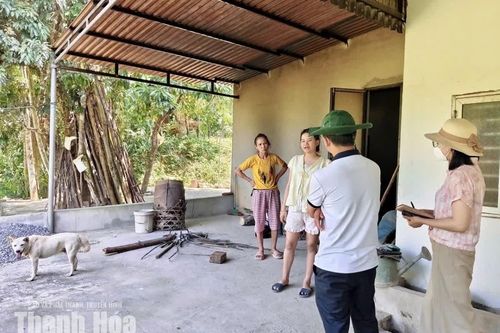 Khẩn trương xử lý vụ 6 người phơi nhiễm với đàn chó nghi dại