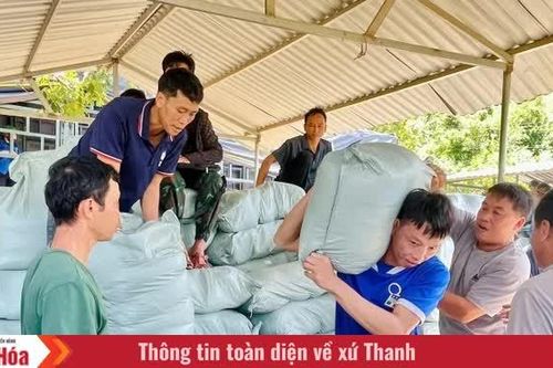 Tam Chung cấp hơn 99 tấn gạo hỗ trợ người dân tham gia bảo vệ và phát triển rừng