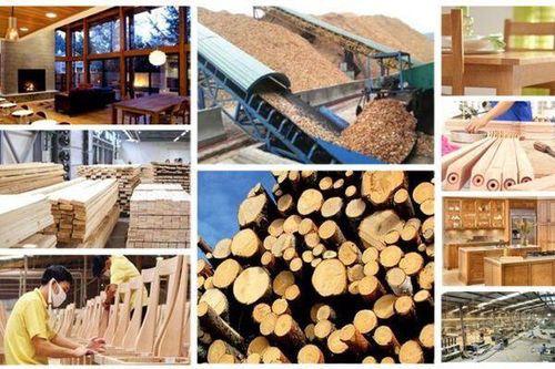 Xuất khẩu gỗ, sản phẩm gỗ sang Trung Quốc tăng vọt; Mỹ sụt giảm vì thuế quan
