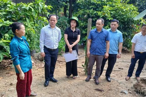 Khảo sát xây dựng mô hình nuôi gà thương phẩm tại Bảo Nhai