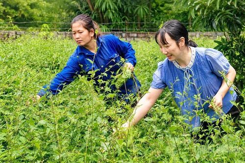 Đánh thức nguồn lực đất đai