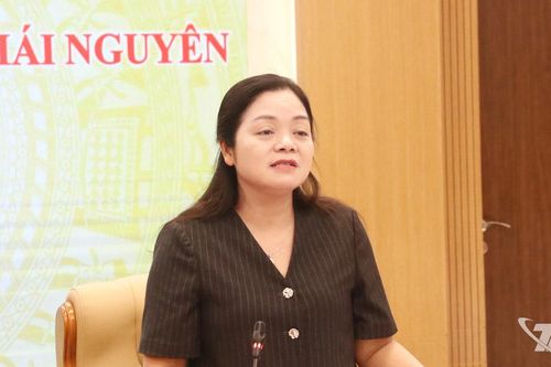 Khẩn trương hoàn thiện các phần việc chuẩn bị Festival Trà Quốc tế - Thái Nguyên