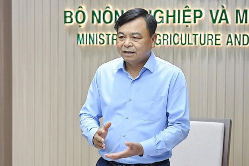 Đề án 1 triệu ha lúa: Từ giảm phát thải đến xây dựng thương hiệu “gạo Việt Nam xanh”
