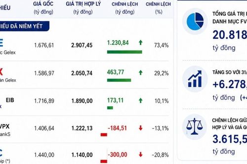 Những cổ phiếu 'sinh lời' nhất của VIX trong danh mục tự doanh