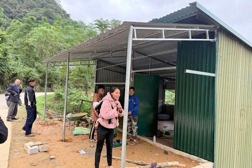 Kinh tế phát triển, đô thị hóa nhanh thúc đẩy xu hướng kết hôn muộn