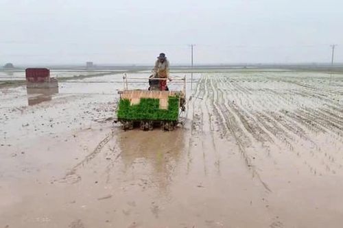 Tạo diện mạo nông thôn mới từ nông nghiệp xanh, hiện đại
