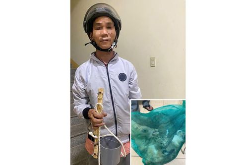 'Miêu tặc' lại tái phạm