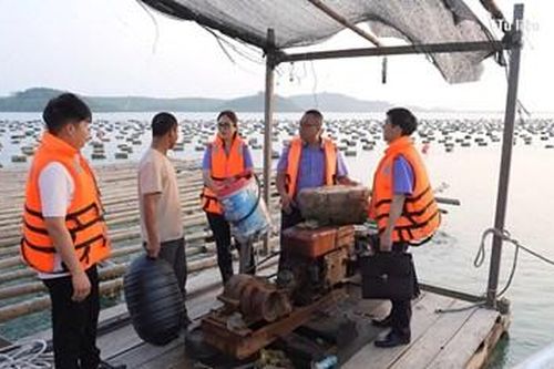 Bảo vệ môi trường biển
