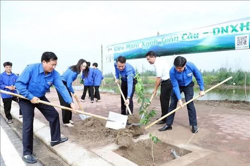Tuổi trẻ chung tay xây dựng nông thôn mới theo hướng thiết thực, hiệu quả