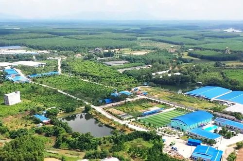 ESG từ yêu cầu tuân thủ đến công cụ nâng năng suất doanh nghiệp