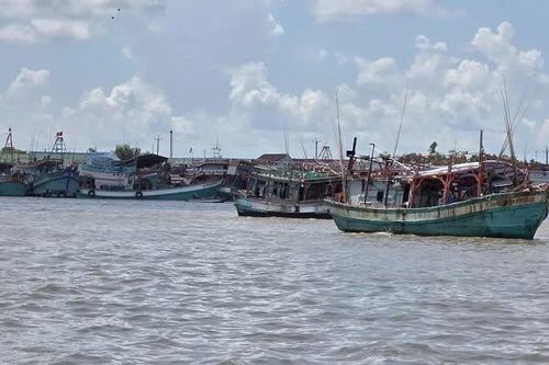 Gành Hào rộn ràng sau những chuyến vươn khơi, sức sống kinh tế nối dài từ biển