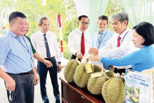 Mở cánh cửa vào thị trường Halal