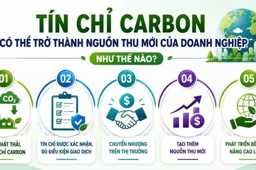 Tín chỉ carbon có thể trở thành nguồn thu mới của doanh nghiệp như thế nào?