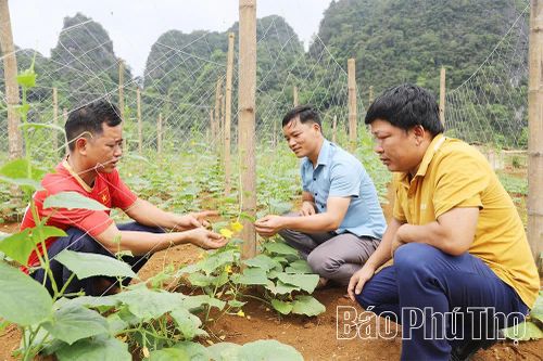 Lạc Lương tự lực vượt khó