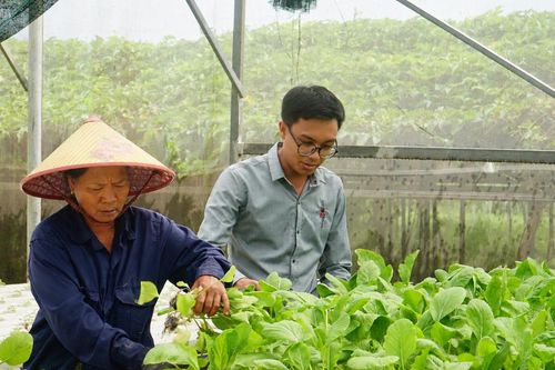 Bảo hộ tài sản trí tuệ, mở đường cho sản phẩm OCOP vươn xa