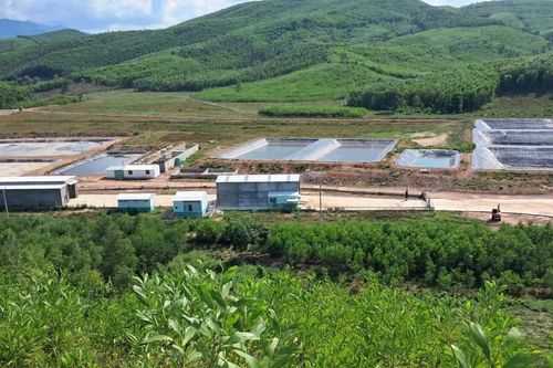 Sau phản ánh của Báo Công an nhân dân, một chủ trại heo bị phạt 180 triệu đồng