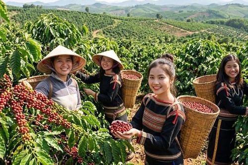 Giá cà phê hôm nay 16.8 xuống 94.800 đồng/kg, thế giới trái chiều