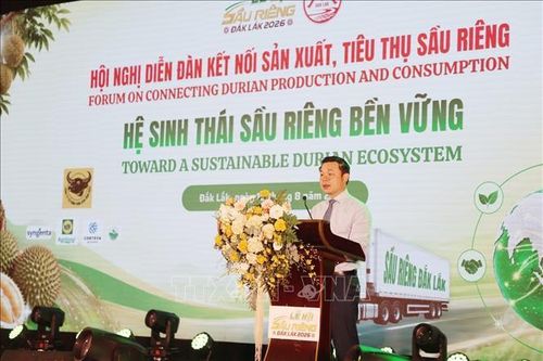 Kết nối sản xuất, tiêu thụ, xây dựng hệ sinh thái sầu riêng bền vững