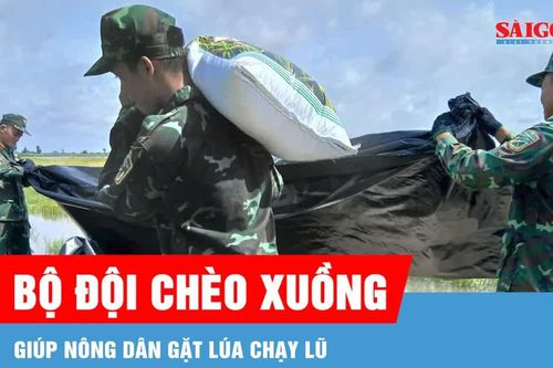 Bộ đội chèo xuồng, giúp nông dân gặt lúa chạy lũ