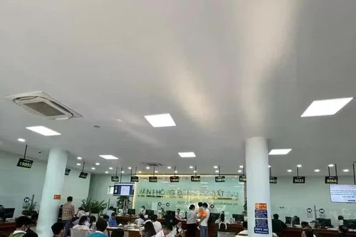 Làm thủ tục đất đai ở TPHCM không cần phải đến nơi có nhà đất