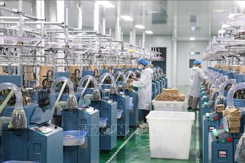 Nghị quyết số 10-NQ/TW: Động lực 'hút' FDI vào kinh tế xanh