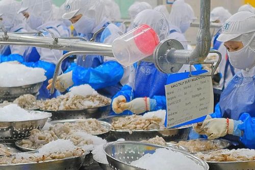 Những cú bẻ lái lợi nhuận của doanh nghiệp thủy sản trong quý II/2026