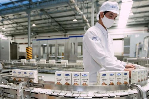 Mùa lợi nhuận khởi sắc của doanh nghiệp ngành sữa