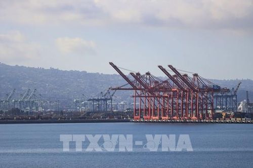 Xuất khẩu Brazil sang Mỹ lao dốc do tác động của thuế quan