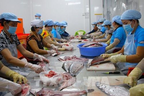 Phụ nữ Cần Thơ xanh hóa sinh kế