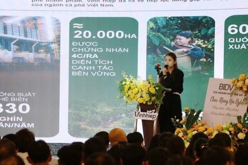 Liên kết chuỗi, chìa khóa để cà phê Việt đáp ứng EUDR