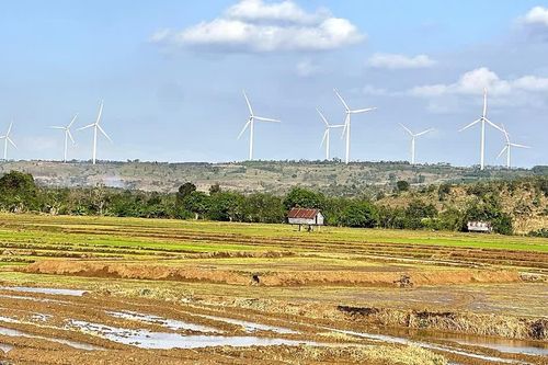 Gia Lai phê duyệt kết quả chọn nhà đầu tư dự án nhà máy điện gió 1.600 tỷ đồng
