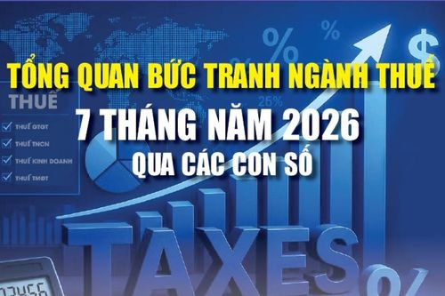 Infographics: Tổng quan bức tranh ngành Thuế 7 tháng năm 2026 qua các con số