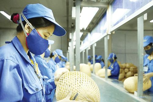 Đề xuất hỗ trợ có mục tiêu cho doanh nghiệp nhỏ và vừa