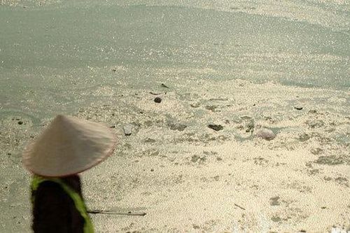 Hồ điều hòa Hà Nội nổi váng, ô nhiễm: Nguyên nhân và giải pháp khắc phục