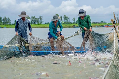 Muốn tìm vốn dài hạn, hãy đọc luật của nước mua hàng