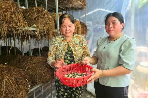 Phát huy hiệu quả phong trào phụ nữ khởi nghiệp