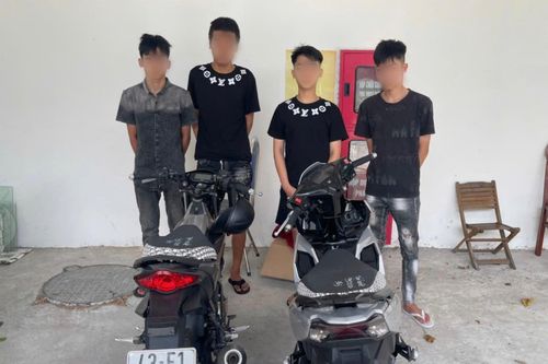 Đấu tranh làm rõ vụ 'bợ' heo đất gần 200 triệu đồng