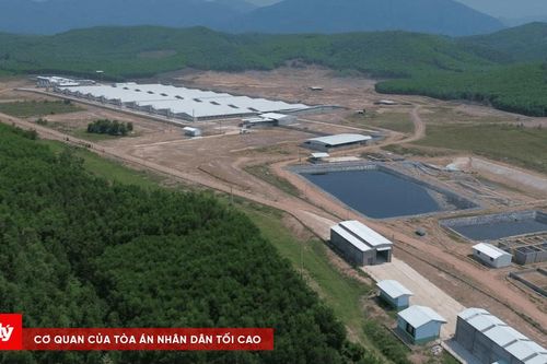 Xử phạt trang trại heo gây ô nhiễm không khí