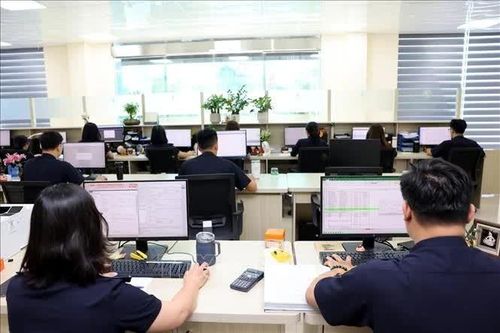Chuyển đổi số trong thông quan tăng cường năng lực xử lý hiệu quả