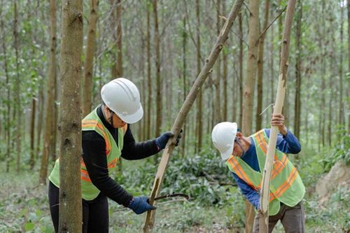 Làm rõ cơ chế hoàn trả tiền cho người lao động khi không được xuất cảnh