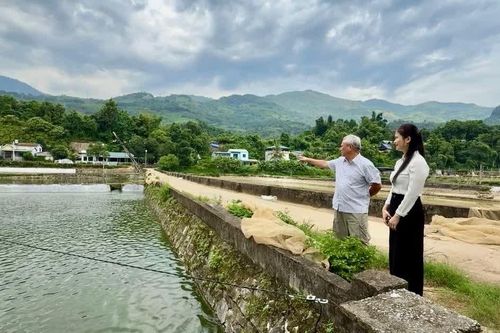 Khai thác hiệu quả tiềm năng mặt nước ở Cốc San