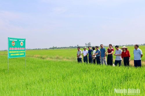 Hội Nông dân xã Khánh Thiện tham quan các mô hình phát triển kinh tế