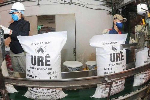 Cơ cấu vốn nhà nước: Cơ hội thu hút dòng vốn dài hạn